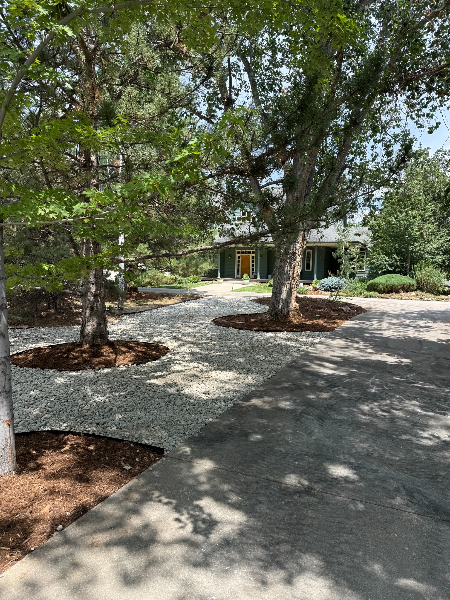 Completed xeriscape with light stone and mulch around mature trees